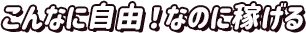 こんなに自由!なのに稼げる